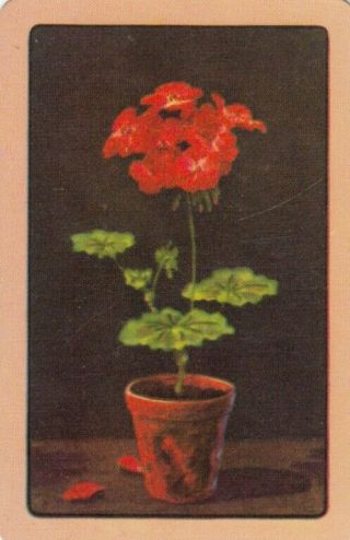 Vintage Coles Swap Card - 1 Single - Flowers - 4
