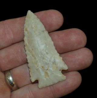 Pine Tree Illinois Authentic Indian Arrowhead Artifact Collectible Relic