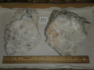 Two fluorite specimens,  Mex - Tex mine,  Bingham,  Socorro County,  Mexico P71 2