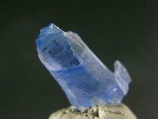 Rare Gem Jeremejevite Crystal From Namibia - 1.  4cm - 3.  10 Carats