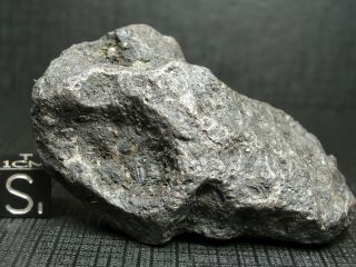 Meteorite - Campo Del Cielo - Iron Meteorite - Cdc - 4720 - 180.  0g Shape
