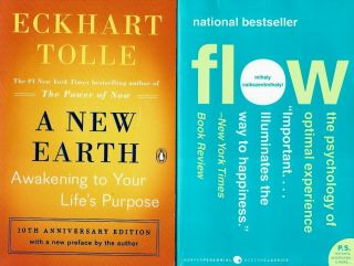 2 Books On Life Improvement: A Earth Awakening To Your Life 