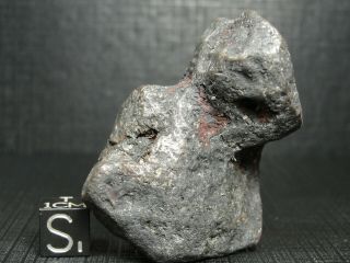 Meteorite - Campo Del Cielo - Iron Meteorite - Cdc - 4719 - 180.  0g Shape
