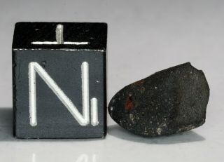 Aguas Zarcas Costa Rica CM2 classified carbonaceous chondrite meteorite 0.  64g 2