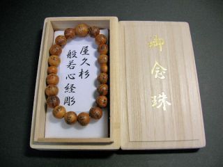 Yakusugi Sacred Cedar Buddhist Prayers Beads Bracelet