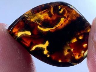 2.  75g Unique Unknown Items Burmite Myanmar Amber Insect Fossil From Dinosaur Age
