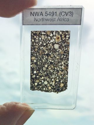 Meteorite Thin Section - Nwa 5491 - Cv3 -