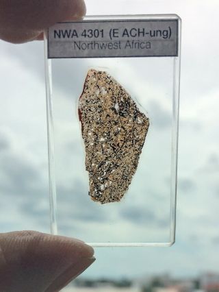 Meteorite Thin Section - Nwa 4301 - Ungr.  E - Achondrite - Similar To Zaklodzie