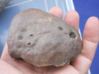 Dino: Large Petrified Dinosaur Dung Coprolite Fossil Poop 3