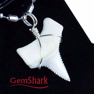 Natural Gemshark Shark Tooth Necklace 0.  8 Inch Great White Silver Surfer Pendant