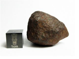 Mundrabilla Iron Meteorite 47.  56g Stunning Siderite Showpiece 2