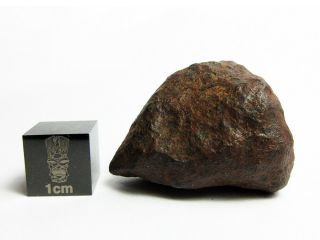 Mundrabilla Iron Meteorite 47.  56g Stunning Siderite Showpiece 3