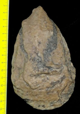 Bicolor Quartzite Paleolithic Biface - Ténéré - Niger - Gossololom