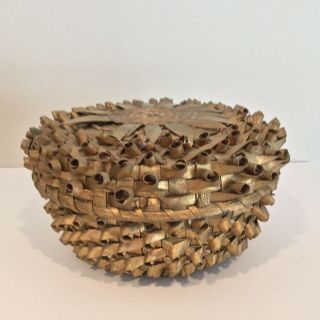 Early 20th C Native American Micmac Porcupine Curl Basket - 5.  5”