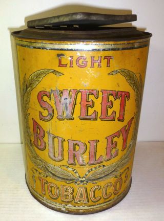 Antique Sweet Burley Light Tobacco Tin,  Counter - Top Store Display,  Old Yellow