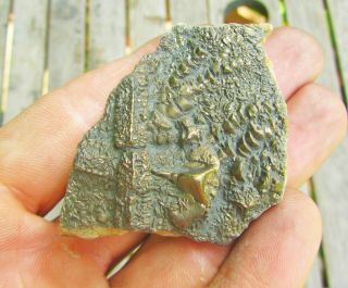 Uncommon pyrite crinoid 64mm fossil UK Jurassic Pentacrinites fossilis Charmouth 6
