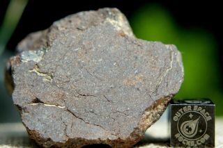 Al Haggounia 001 El3 Fossil Meteorite 47.  6 Grams Enstatite Low Metal Chondrite