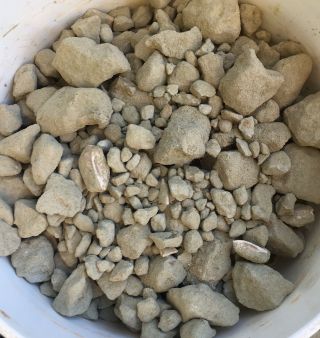(5) Lb Fossil Gravel Bag From A Private Claim At Ernst Quarry: Bakersfield,  Ca.
