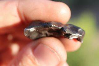 Sikhote Alin Meteorite individual 13.  5 grams 3