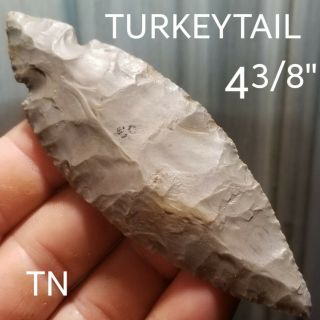 Authentic Turkeytail Arrowhead.  Spear Point Native Indian Artifact