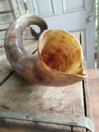 Kudu Yemenite Horn Shofar Size 30 " - 33 " Sound Kosher All Polished (unique)