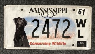 Mississippi Conserving Wildlife Specialty License Plate Ms 2472 Wl Black Lab Dog
