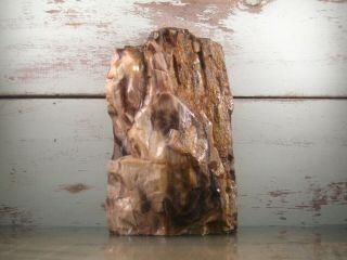 Yb Natural Petrified Opalized Wood Fossil Rough Lapidary.  8lbs 2oz {a2ar}