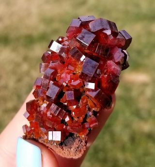 Wow Sweet Vanadinite Miniature With Lustrous Cherry Red Crystals On Matrix (: (: