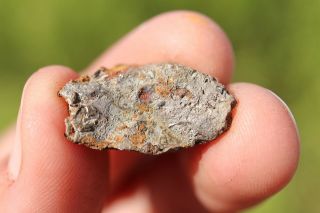 Whitecourt Iron Meteorite Individual 6.  2 Grams Wow