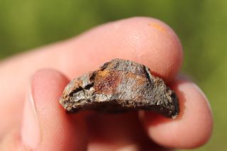 Whitecourt Iron Meteorite individual 6.  2 grams Wow 2