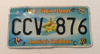 Us Virgin Islands St.  Croix Caribbean Wildlife Fish License Plate Ccv 876