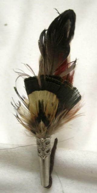 Ww2 Wwii Era Austria German Hunter Gebirgsjaeger Hat Pin Feather Plume 3