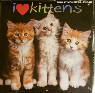 2020 Wall Calendar - I Love Kittens - 12 Month - 12x12