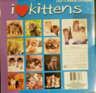 2020 Wall Calendar - I Love Kittens - 12 Month - 12x12 2