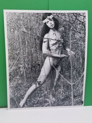 Vintage Nude 8x10 Photo Amateur Print Hippie
