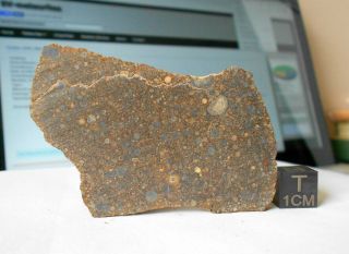 Meteorite Nwa 12009 (ll3) - 37.  1 G
