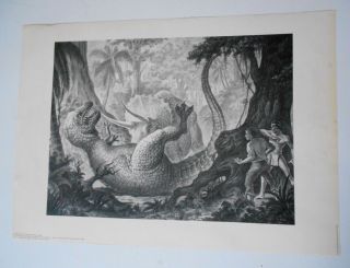 Ray Harryhausen " Valley Of The Mists " Limited Litho 1989 Stop - Motion Dinosaurs