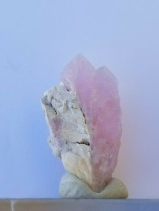 Rose Quartz Crystals,  Laranjeiros,  Minas Gerais,  Brazil