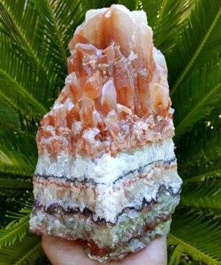 Spectacular Large Gallery 9 1/4 Inch Tri Color Banded Calcite Crystal