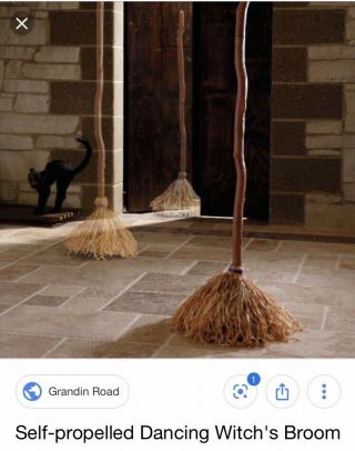 Grandinroad Dancing Broom