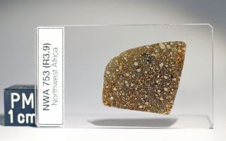 Meteorite Thin Section - Nwa 753 (r3.  9) - Rare Rumuruti Chondrite - Uncovered