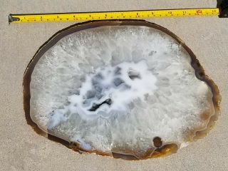 Brazilian Agate Geode Slab Slice 6 Lbs 12 " By 9 " By 1 " Crystal Geode Fossil
