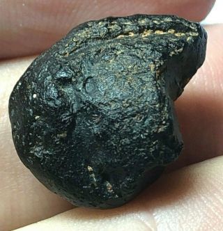 Australite 15: 2.  6g Australian Tektite From Meteorite Impact,  Half Button Frag