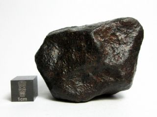 Nwa X Meteorite 108.  39g Beautifully Regmaglypted Space Rock