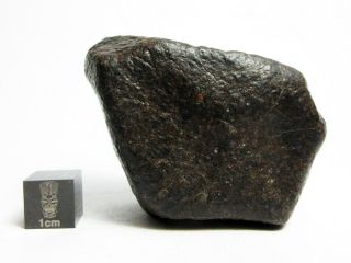 NWA x Meteorite 108.  39g Beautifully Regmaglypted Space Rock 2