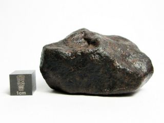 NWA x Meteorite 108.  39g Beautifully Regmaglypted Space Rock 3
