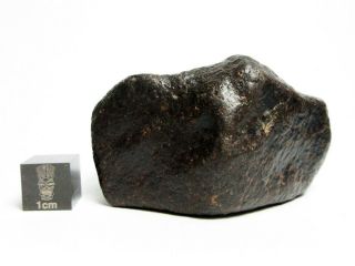 NWA x Meteorite 108.  39g Beautifully Regmaglypted Space Rock 4