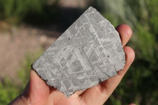 Muonionalusta Meteorite Etched Part Slice 41.  4 Grams