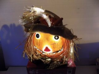 Fiber Optic Halloween Fall Pumpkin Scarecrow Jack - O - Lantern Lightup Autumn Decor
