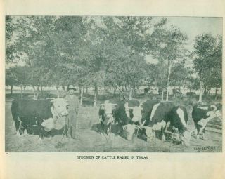1903 FORT WORTH TEXAS TX SOUVENIR PROMOTIONAL PICTURE BOOK,  TEXAS PRINTING CO. 4